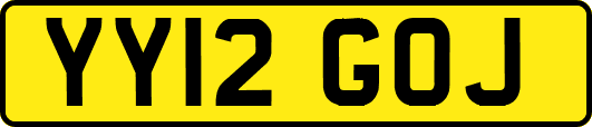 YY12GOJ
