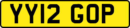 YY12GOP