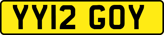 YY12GOY