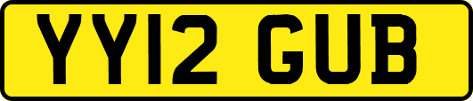YY12GUB
