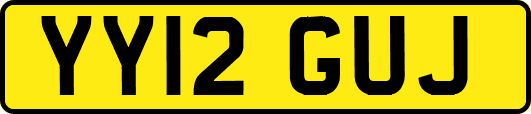 YY12GUJ