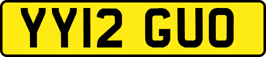 YY12GUO