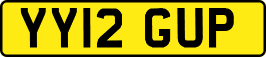YY12GUP
