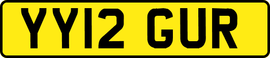 YY12GUR