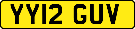 YY12GUV
