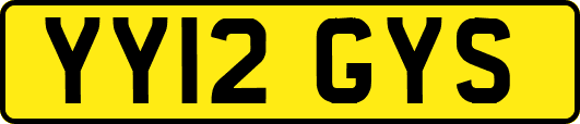 YY12GYS