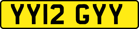 YY12GYY