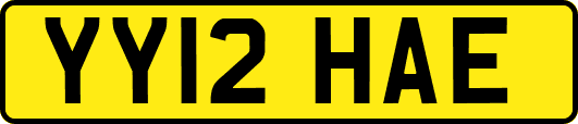 YY12HAE