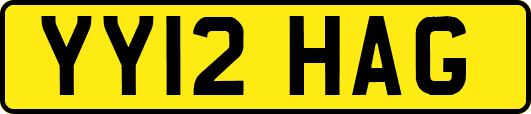 YY12HAG