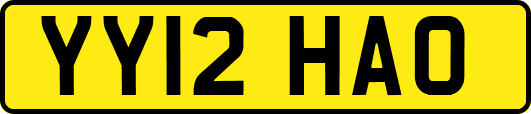 YY12HAO