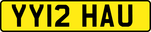 YY12HAU