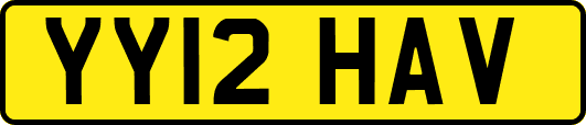 YY12HAV