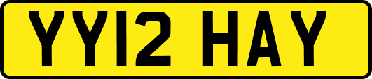 YY12HAY