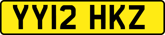 YY12HKZ