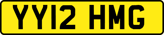 YY12HMG