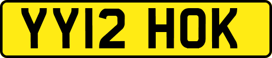 YY12HOK