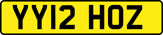 YY12HOZ