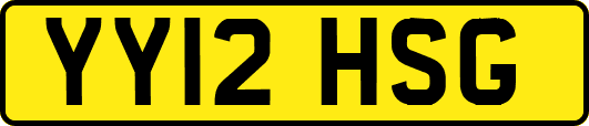 YY12HSG