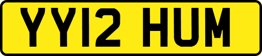 YY12HUM