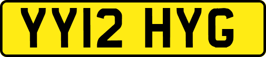 YY12HYG