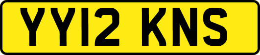 YY12KNS
