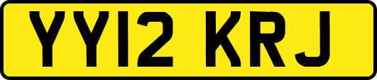 YY12KRJ