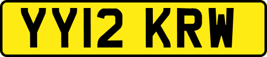 YY12KRW