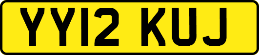 YY12KUJ