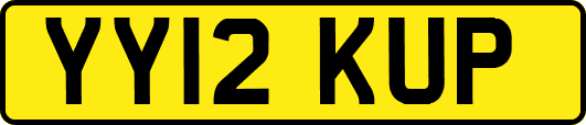 YY12KUP