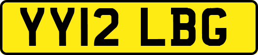 YY12LBG