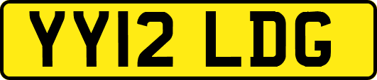 YY12LDG