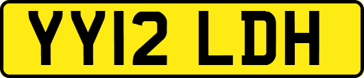 YY12LDH