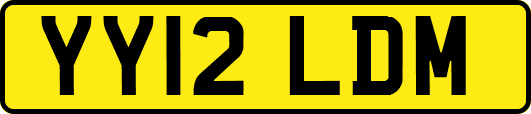 YY12LDM