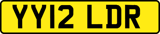 YY12LDR