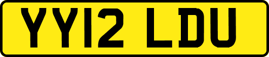 YY12LDU