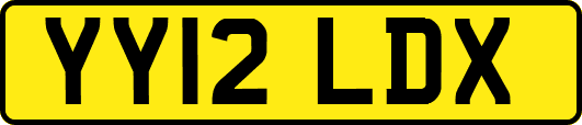 YY12LDX