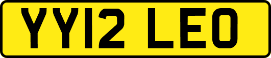 YY12LEO
