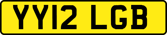 YY12LGB