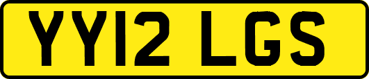 YY12LGS