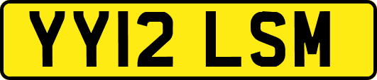 YY12LSM