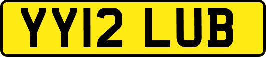 YY12LUB