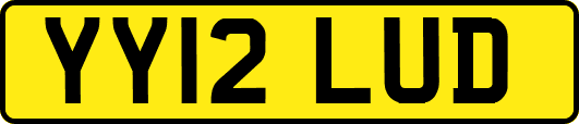 YY12LUD