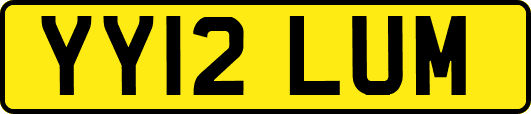 YY12LUM