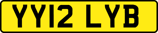 YY12LYB