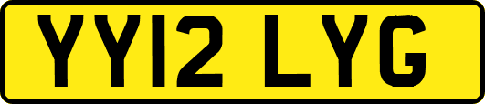 YY12LYG