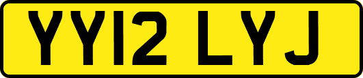 YY12LYJ