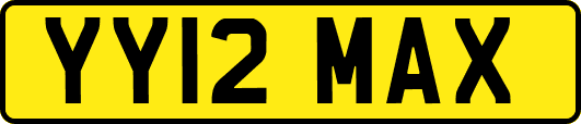 YY12MAX