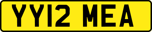 YY12MEA
