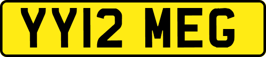 YY12MEG