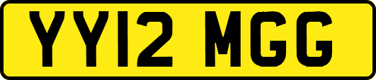 YY12MGG